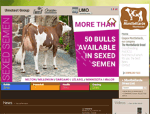 Tablet Screenshot of coopex.com